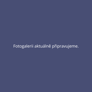 fotogalerii aktuálně připravujeme.